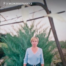 , 38, 