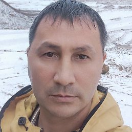 Igvord, ���������, 48 ���