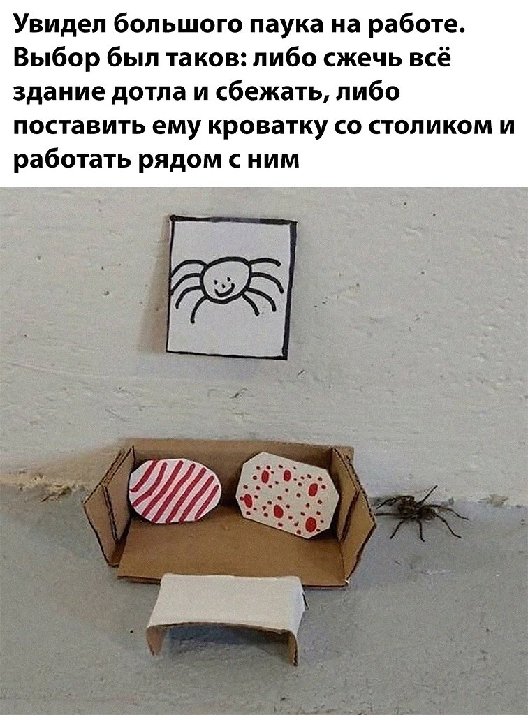 ��� �������� �������� - 29 �������� 2026 � 16:23