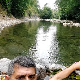 , 37, 