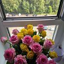 ���� �����, ������, 51 ��� - ��������� 9 ���� 2026 � ������ ���� ����������