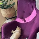 ���� �����, ������ - ��������� 16 ������ 2025 � ������ ������ ��������