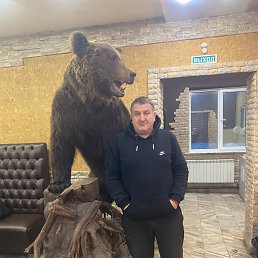 ����, 49 ���, ����������