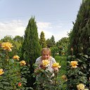 ���� �������, �������� - ��������� 6 ������� 2025 � ������ ���� ����������