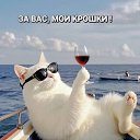 ���� �����, �����, 39 ��� - ��������� 24 ������ 2025 � ������ ���� ����������