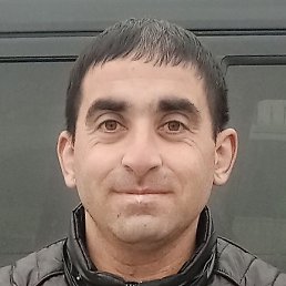 �����, ������, 37 ���