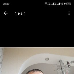 ����, 46 ���, ����-���