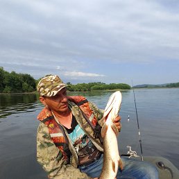 , 48, 