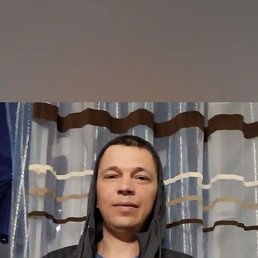 �����, 38 ���, ������