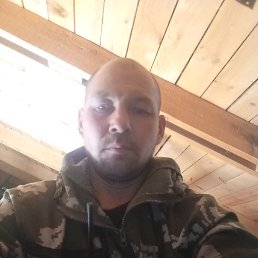 , 43, 