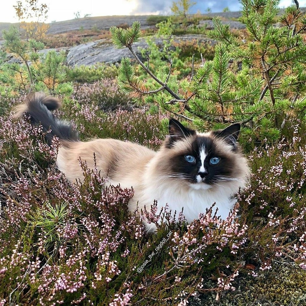           :3