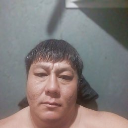 , 37, 