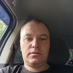, 40, 