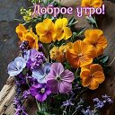���� ����, ����������� - ��������� 25 ���� 2026 � ������ ������ ��������