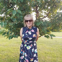 , 65, 