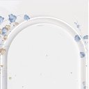 ���� ����, ����, 41 ��� - ��������� 8 ������ 2026 � ������ ���� ����������