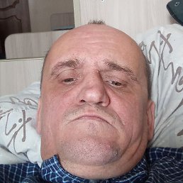 ����, �����������, 44 ����