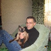 , 51 , 