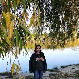 , 55, 