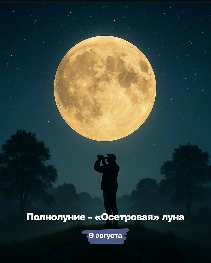 :)    2025: 9  -  ( ) 10  - ...