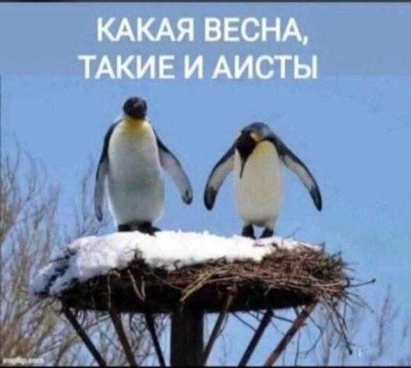  - 16  2025  11:57