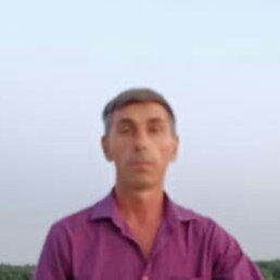 �������, ��������, 51 ���