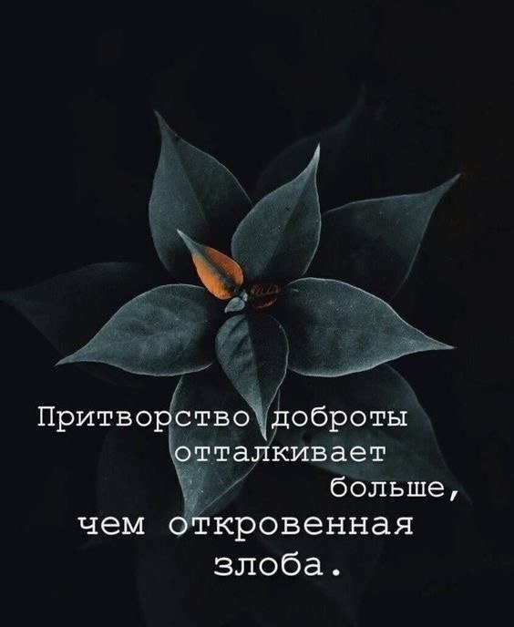   - 17  2025  11:05