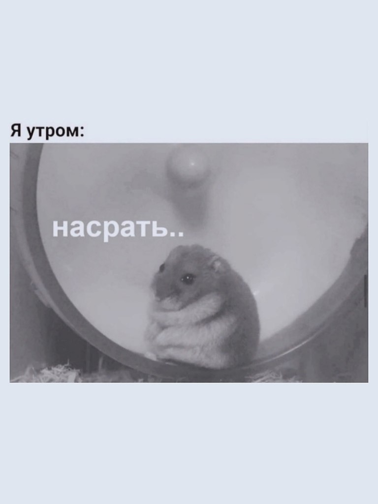 ������. - 8 �������� 2025 � 10:44 - 2