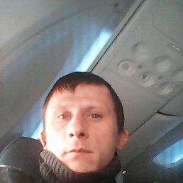 ���� ���������, 38 ���, ���������