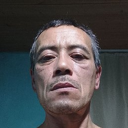 ���� ��������, ����, 44 ����