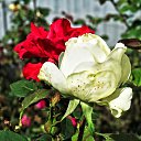 ���� ������, ��������� - ��������� 3 ������� 2025 � ������ ������ �� �����