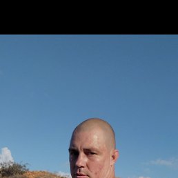, 29, 