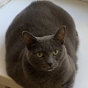 ���� ���������, ������� - ��������� 13 ������ 2025 � ������ ������ ��������