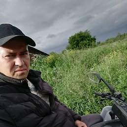 , 42, 