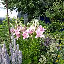 ���� ������, �����-���������, 70 ��� - ��������� 28 ���� 2025 � ������ �����