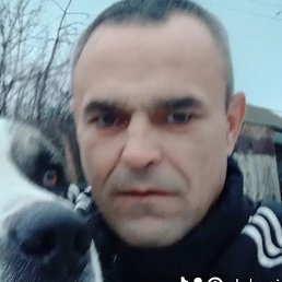 , , 40 
