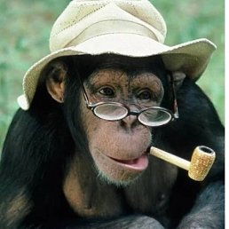 ������, �������, 63 ����