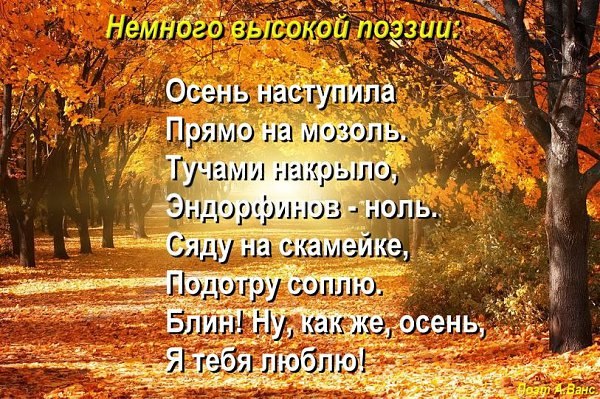   - 11  2024  14:16