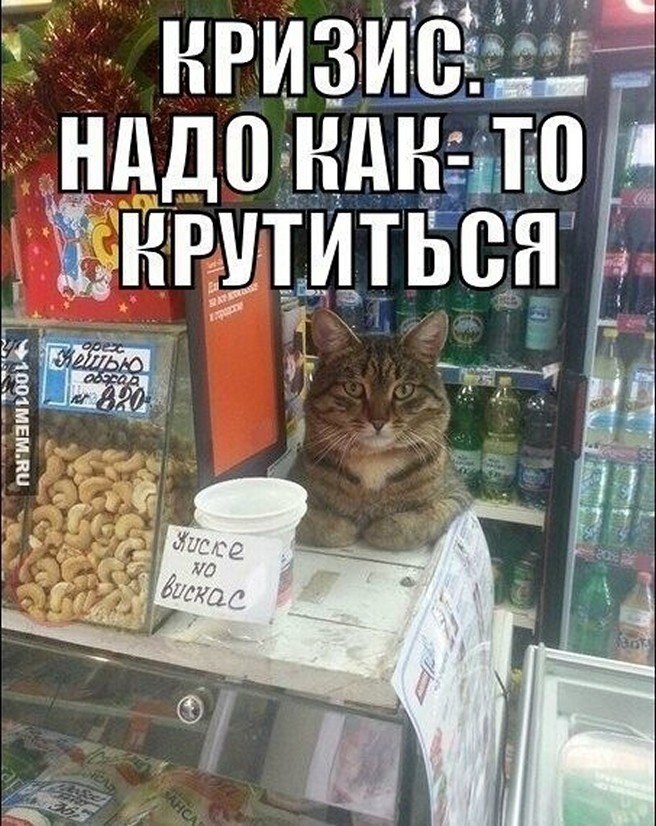 �����? ��, �� �������! - 12 ���� 2025 � 00:47