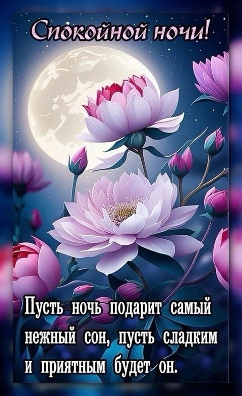   ,    . - 18  2024  20:16