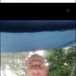, 33, 
