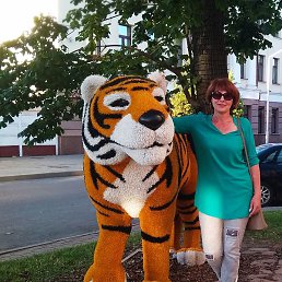 �����, �������, 50 ���