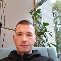 , 41, 