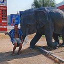 ���� ������, ����� �����, 55 ��� - ��������� 9 ����� 2024 � ������ ���� ����������