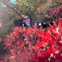 ������� 2024 �� ������� ���� ����������