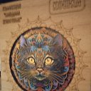 ���� ����, ������, 50 ��� - ��������� 29 ������� 2023