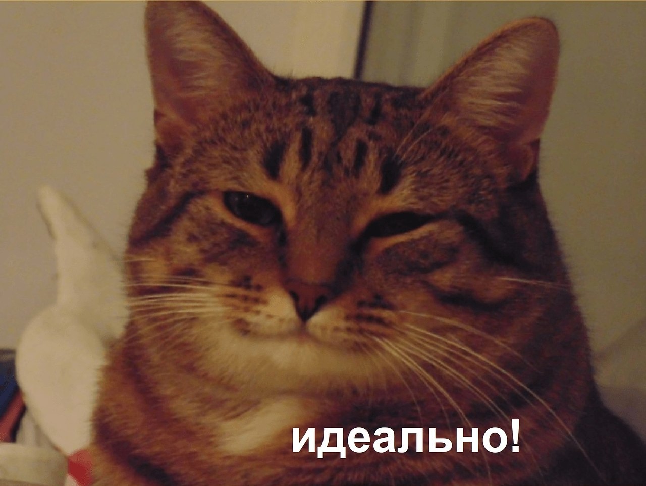    - 3