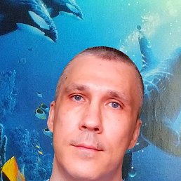 , 41, 