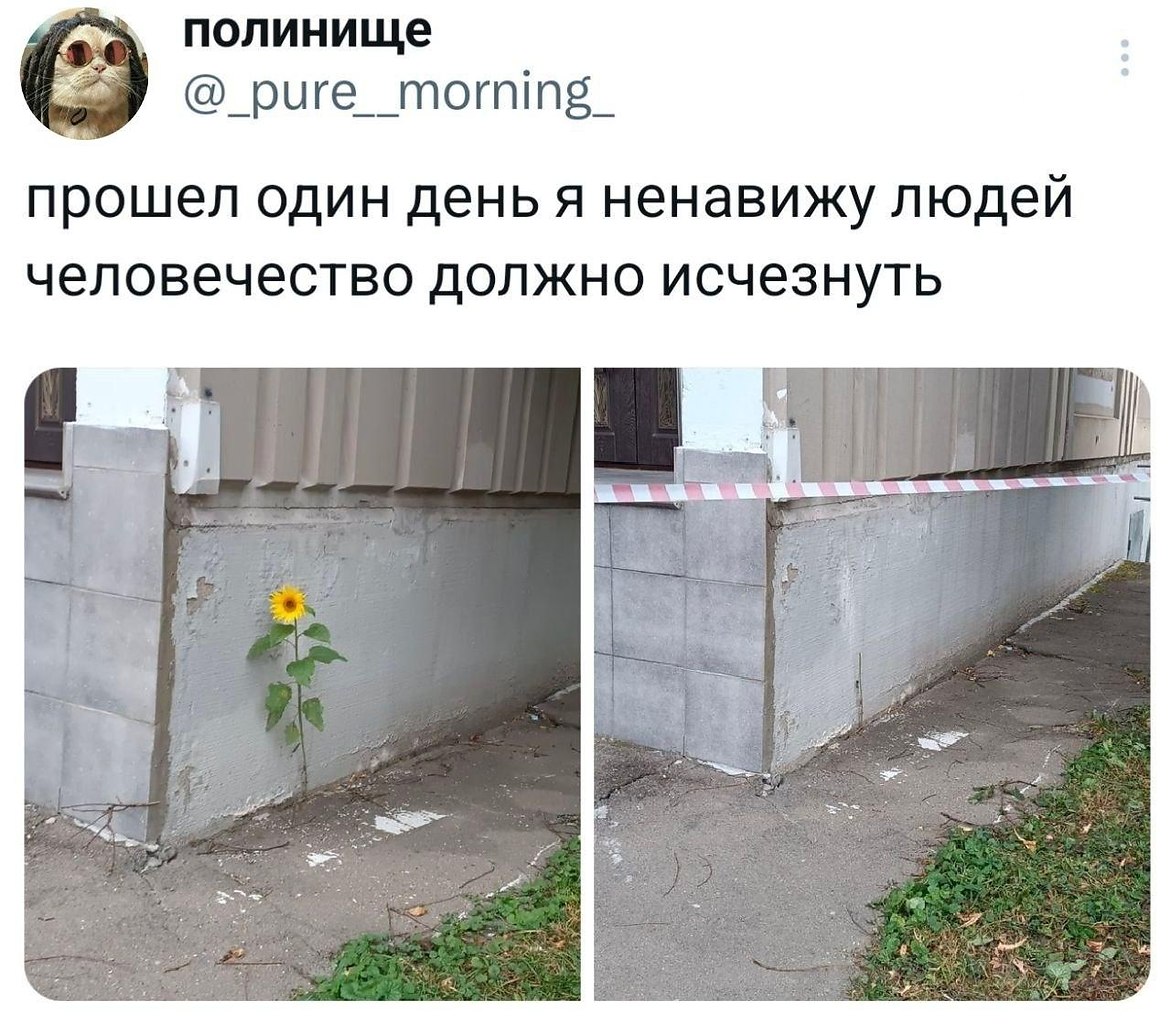 so`quiet