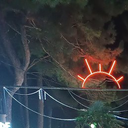 ����, �������, 56 ���